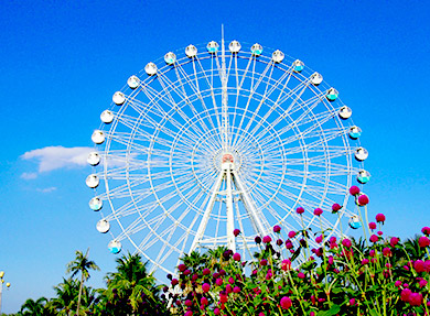 Ferris Wheel For Sale