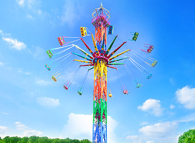 Thrill Ride For Sale