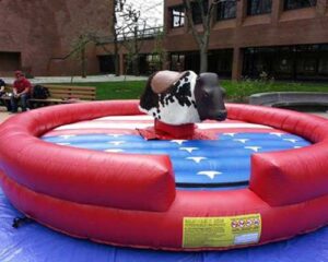 mechanical-rodeo-bull-rides-for-sale-cheap